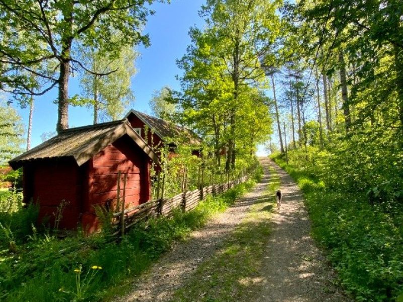 Ferienhaus Ekvägen in Hultsfred - Kalmar-05